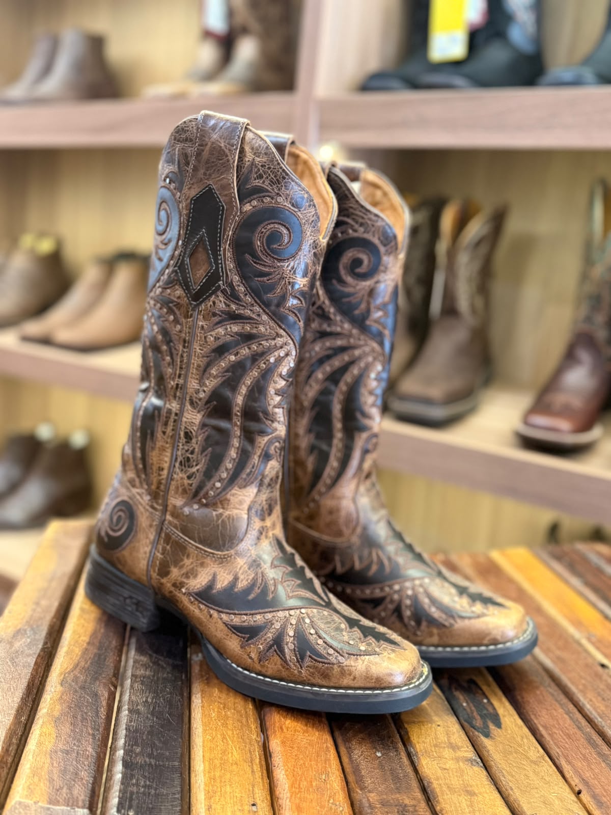 Bota Feminina 253204 CK Goyazes