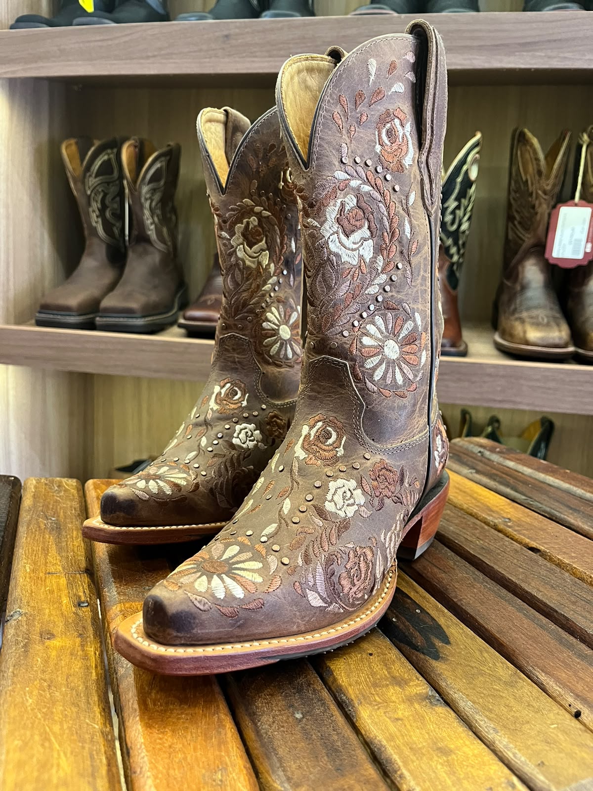 Bota Feminina Goyazes 256802 CC