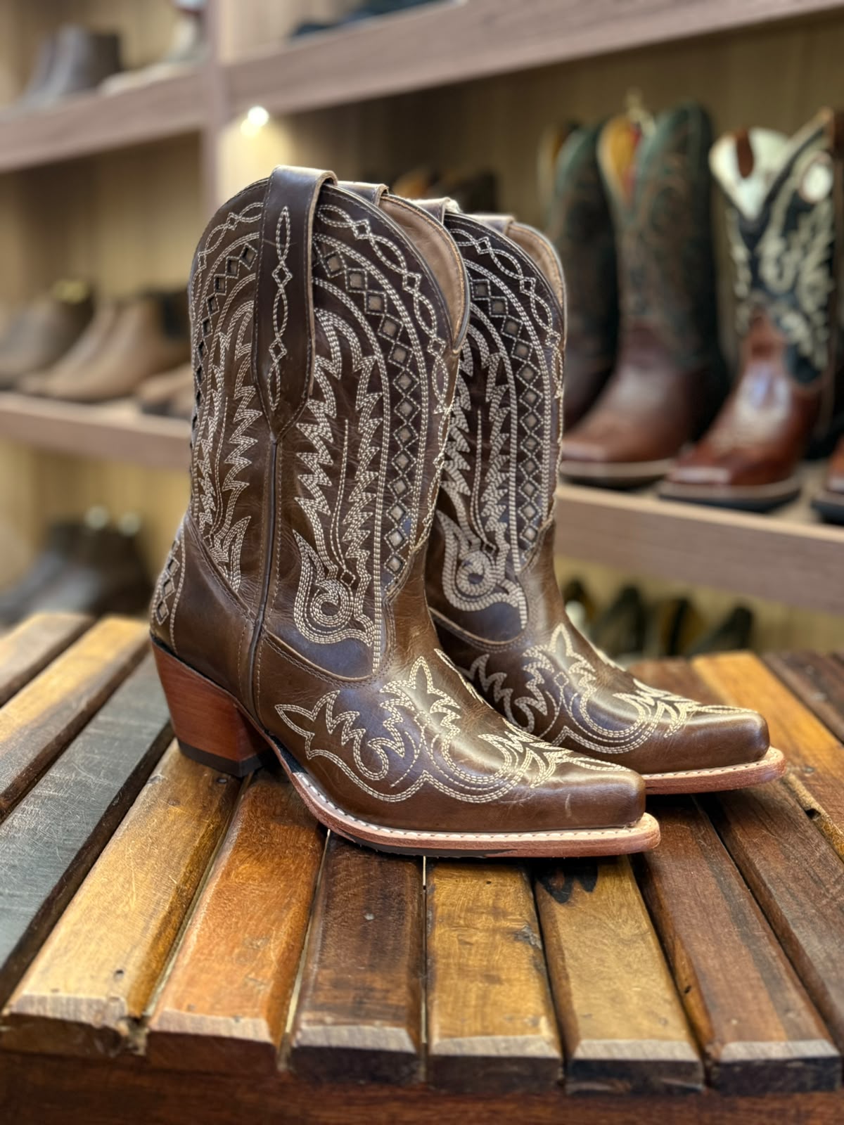 Bota Feminina 264501 CC Goyazes