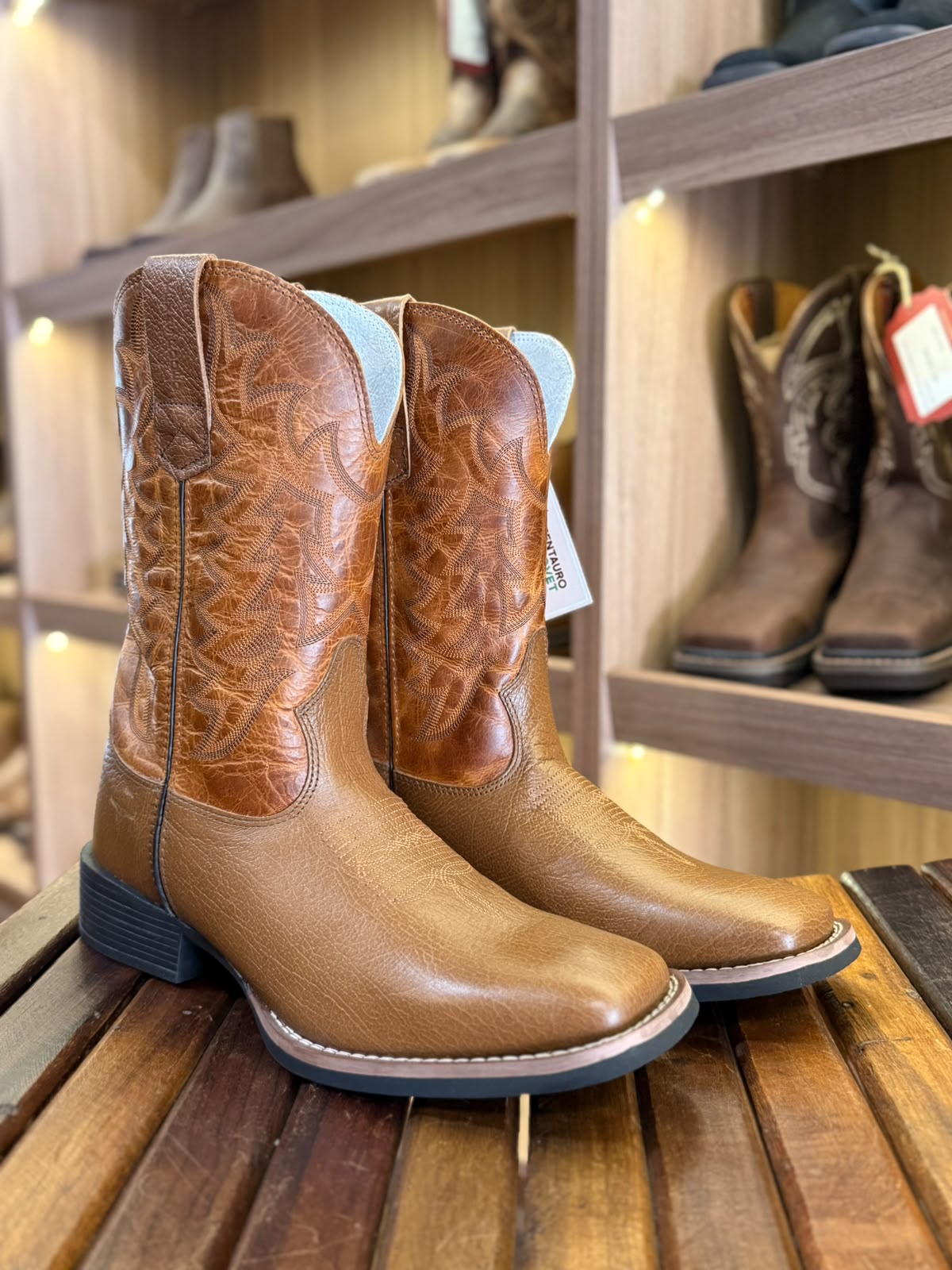 Bota Masculina Texas Rodeo TR620